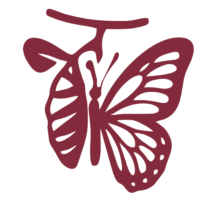 Clinica de Casais JR